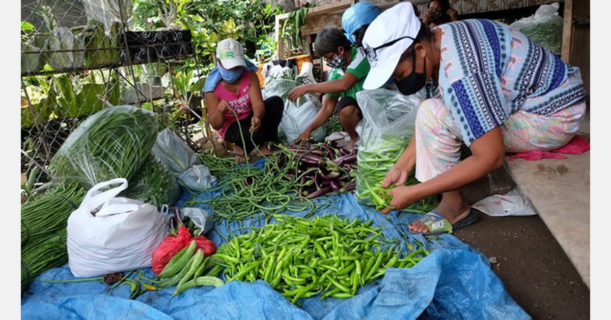 Philippines Selling farmers' produce from backyard gardens