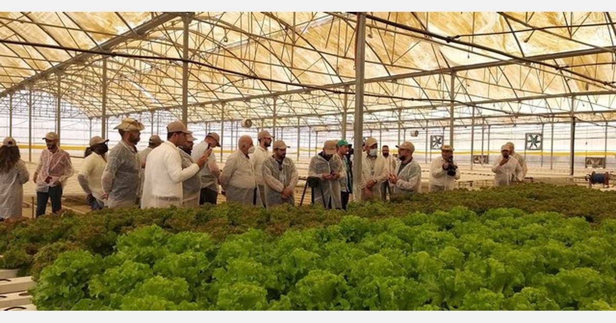 Introducing modern growing methods to Iraqi growers