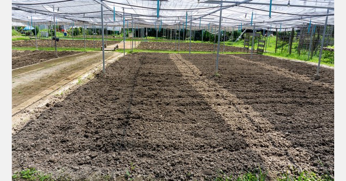 US (CA): More than 60 migrant families found living in dilapidated greenhouse