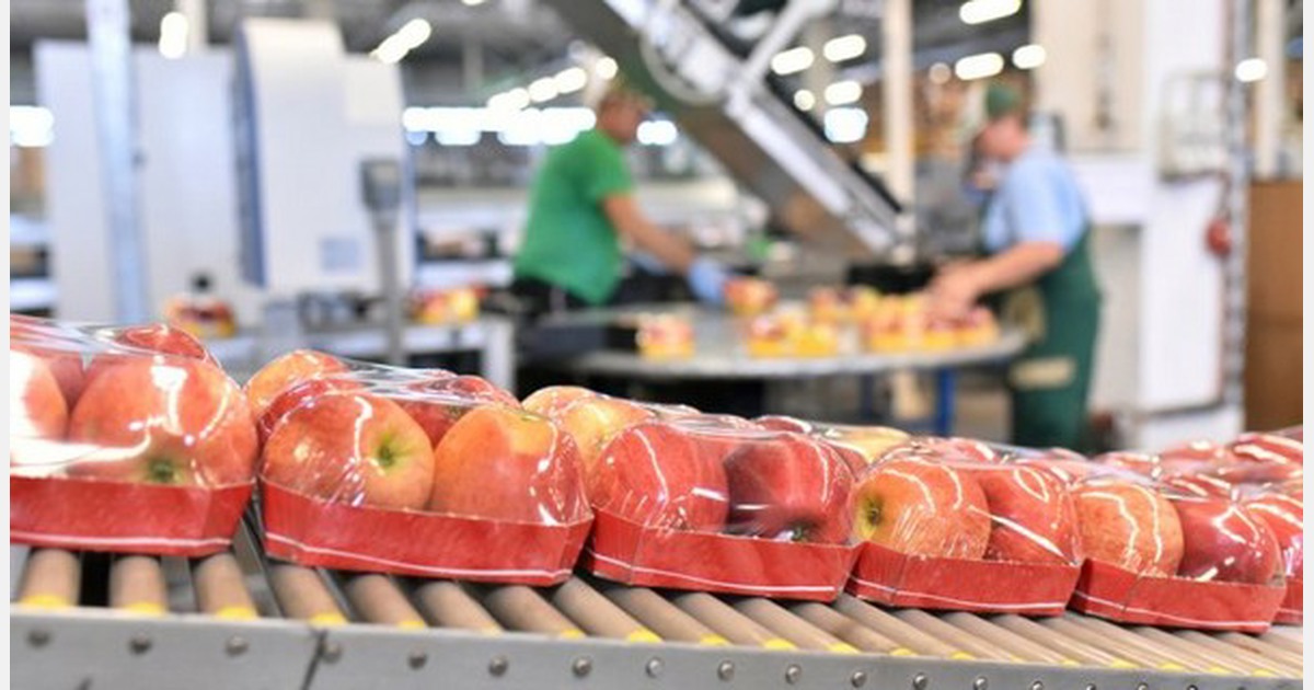Unpack your challenge: three packaging strategies unraveled