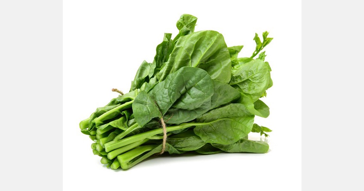 "UK farmers fear government will not deliver on post-Brexit support"