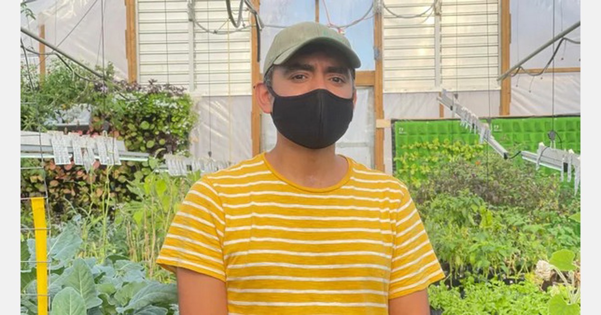 UK: London foodbank opens greenhouse