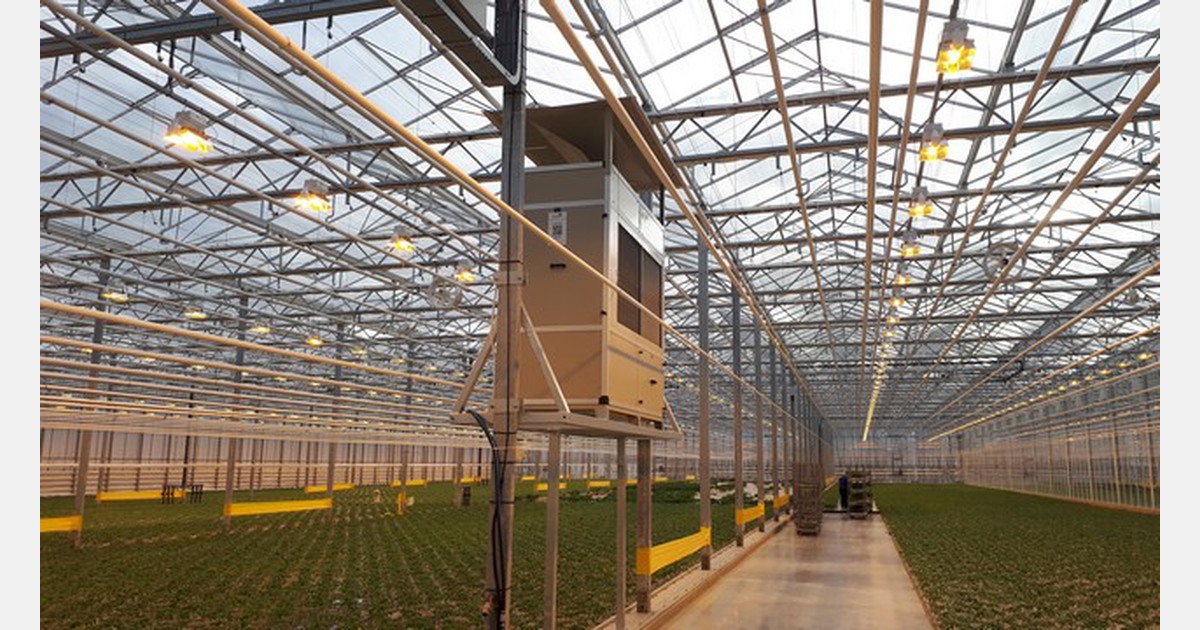 "A dehumidifier is one of the quickest and cheapest ways to reduce