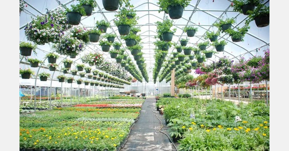 India the importance of greenhouse sheds in Kashmir