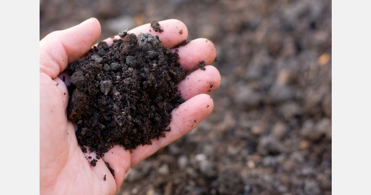 NZ: Grower creates soil that sucks greenhouse gas from the air