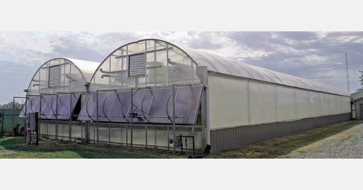 "A climate controlled greenhouse is the ideal setting to implement CEA"