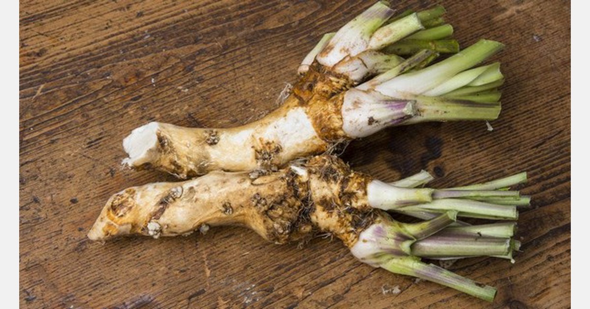 NZ: Food prices are up, but the cost to grow it has skyrocketed