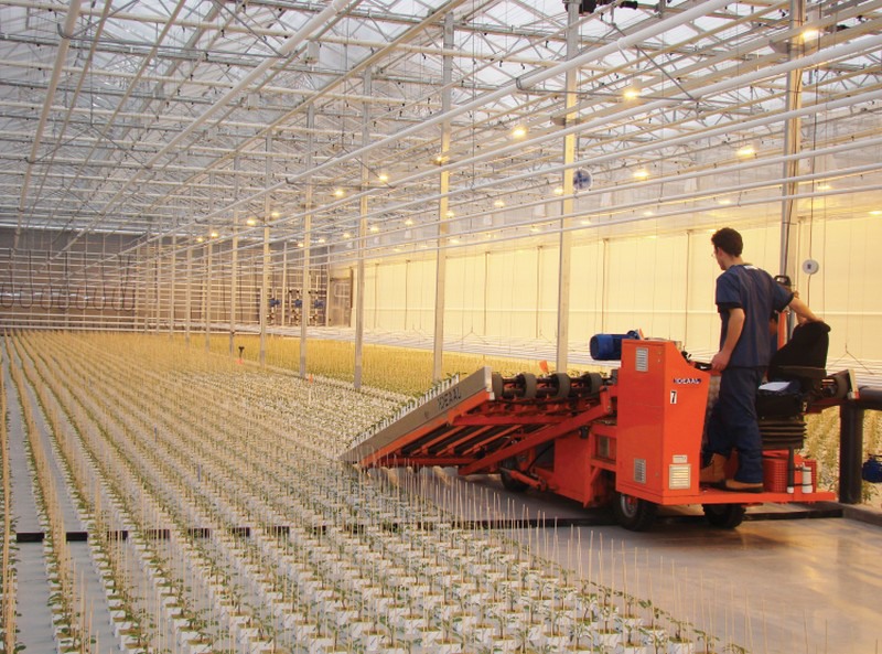 Canada Dutch holding company acquires Ontario Plants Propagation