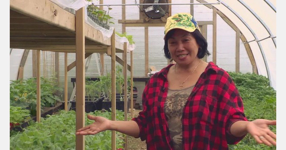 CAN: Grand Falls gardeners tackle inflation with home-grown vegetables Social Sharing