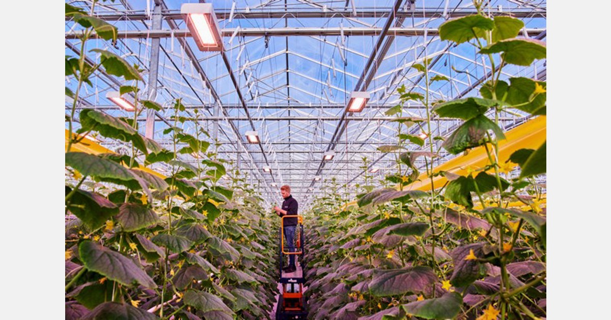 Understanding LED inrush current and the financial impact on your