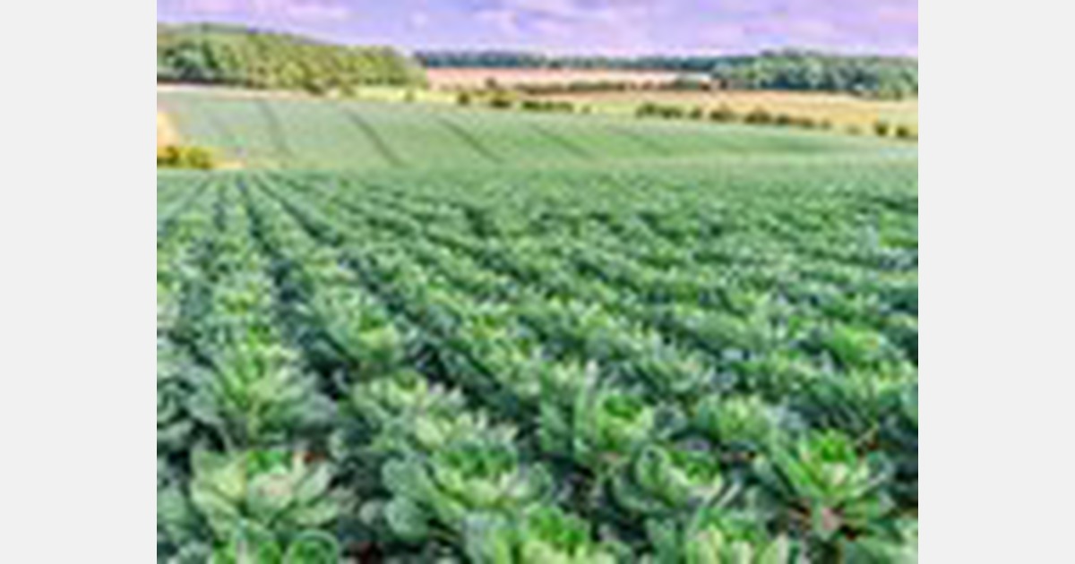 UK: Defra updates on independent review into labour shortages in the ...