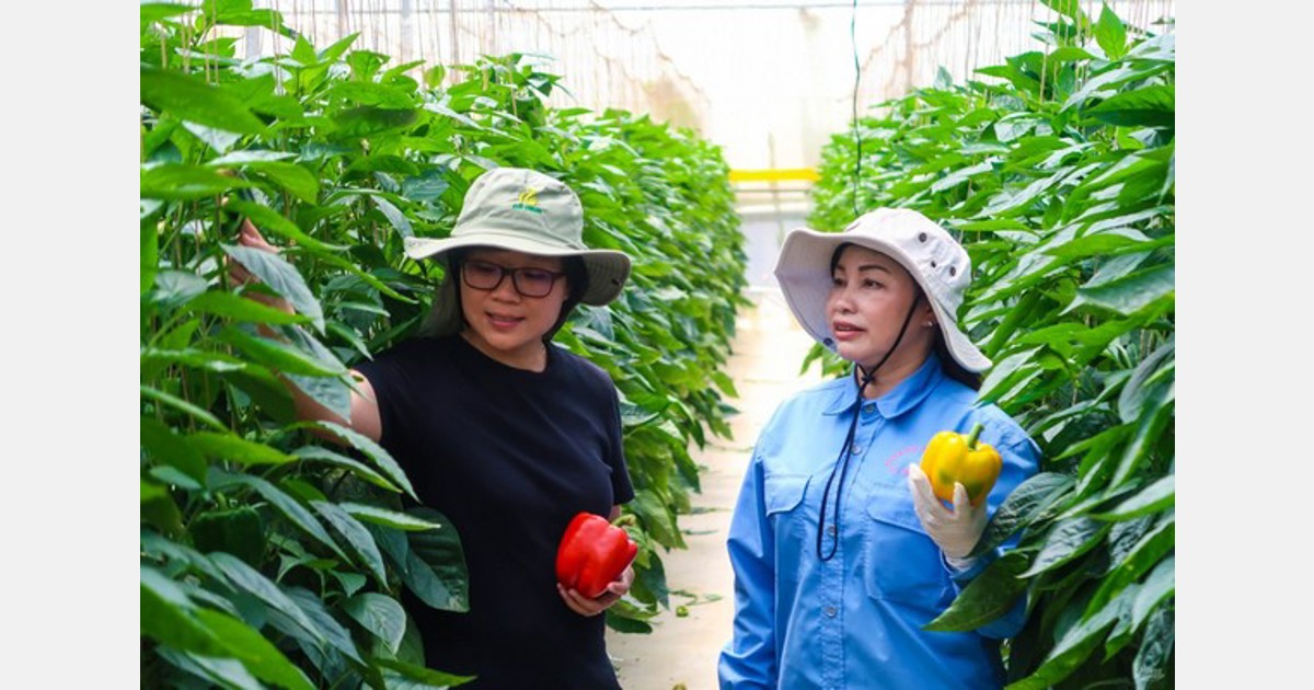 Hợp tác mới tại Việt Nam nhằm tăng cường sản xuất rau an toàn và bền vững