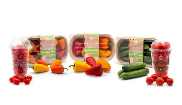 Red Sea Farms’ produce now in 80+ KSA supermarkets, in ‘back-to-school ...