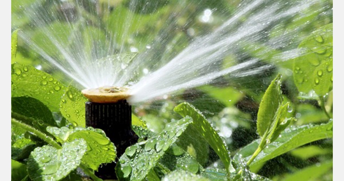 Crop steering 4 phases of irrigation