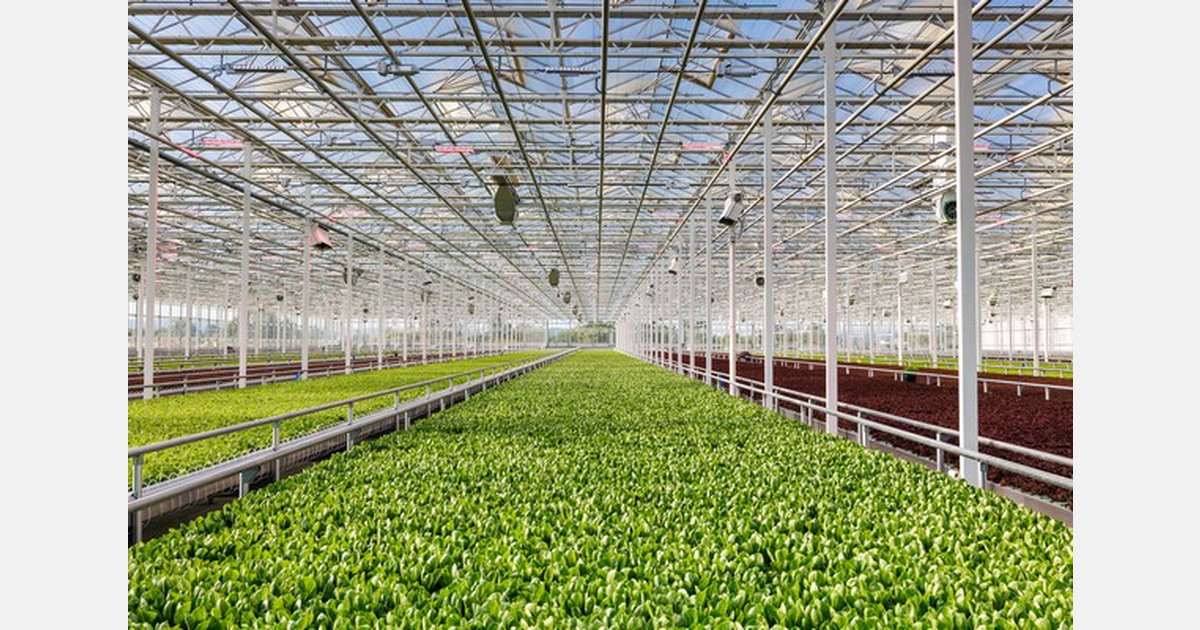 New 15acre greenhouse in Kentucky the first of three to be opened by