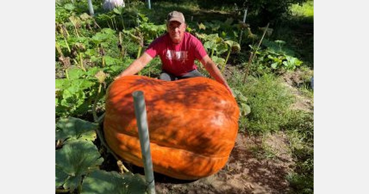 The art and science of growing giant fruits and vegetables