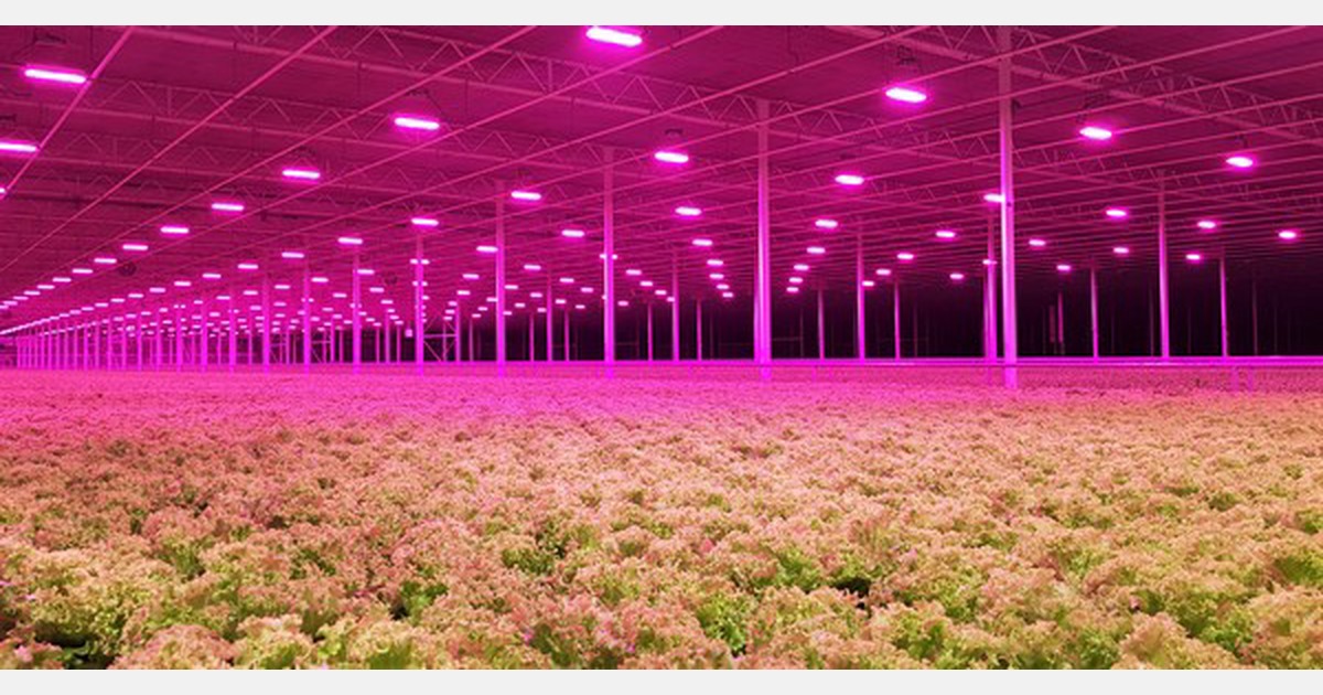 Midstream Lighting completes acquisition of Hyperion Grow