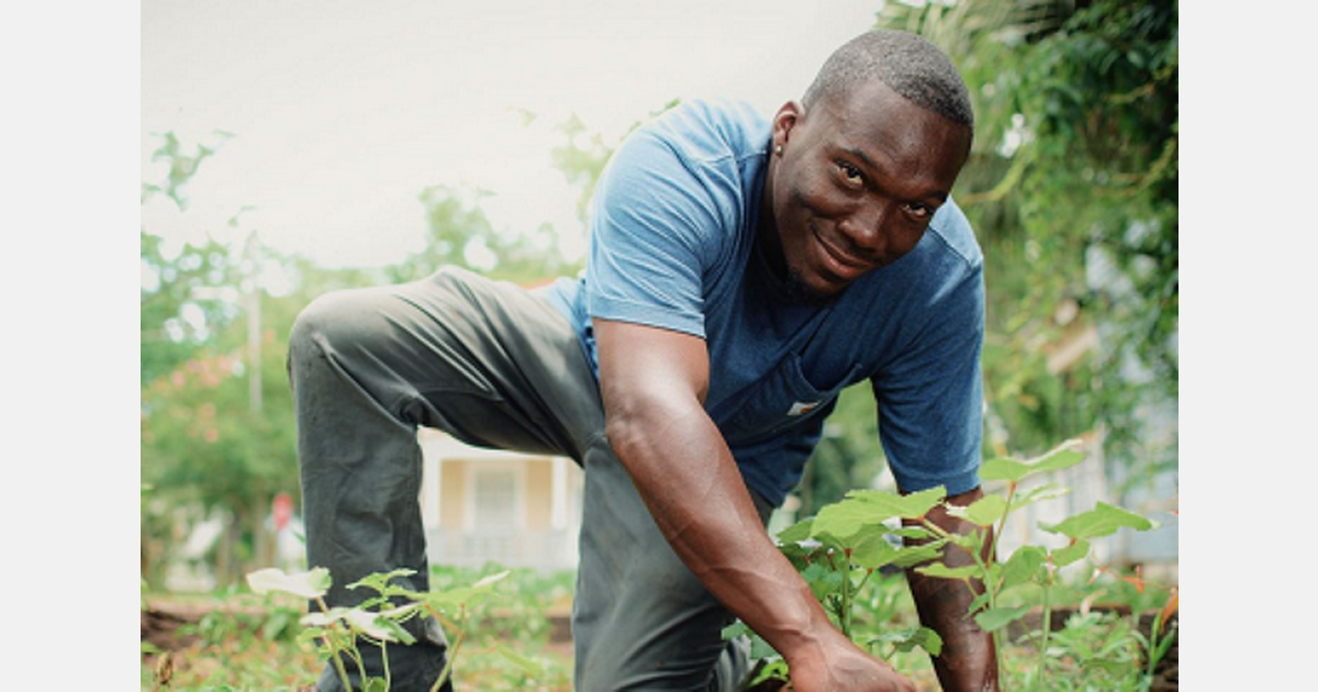 US (GA) Coastal grower organizes to resolve food deserts