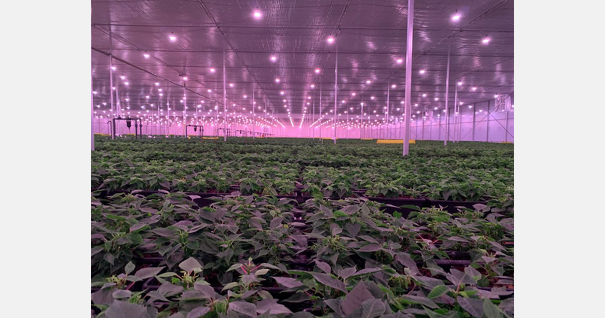 Potentials and opportunities of Ethiopian horticulture sector