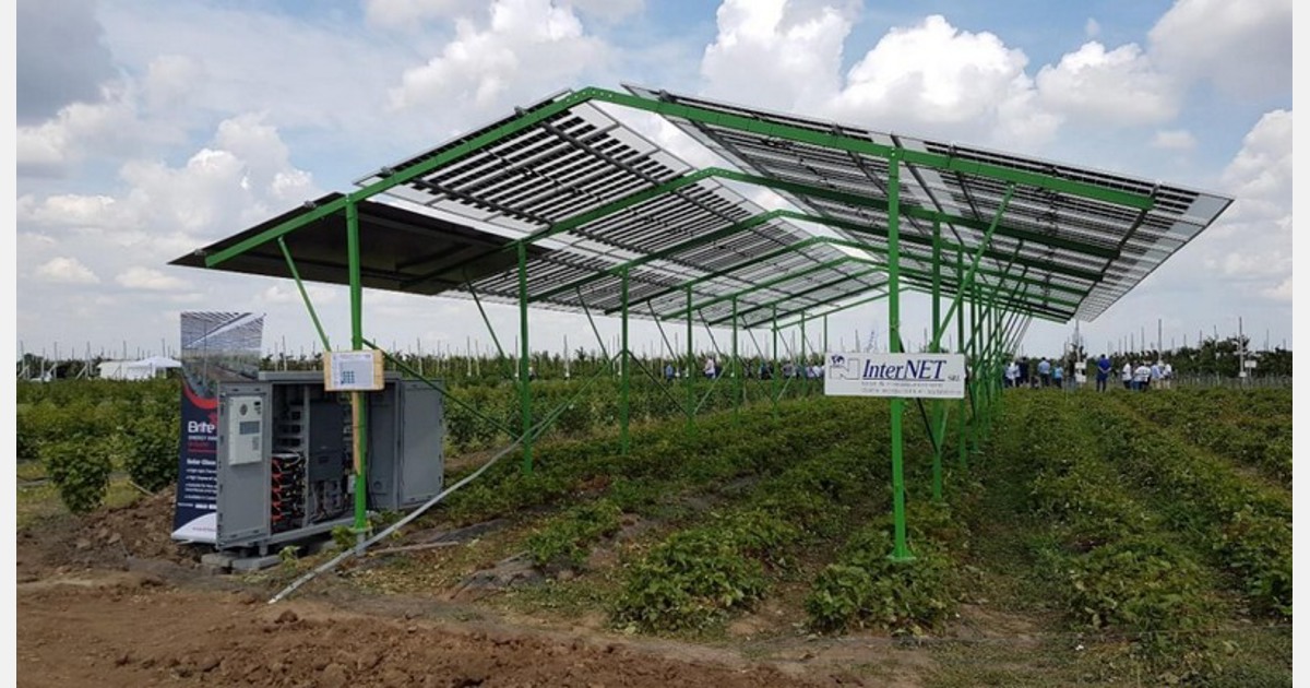 România: Au fost lansate primele sisteme agrovoltaice