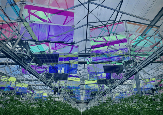 Grower tests photovoltaics to harness energy