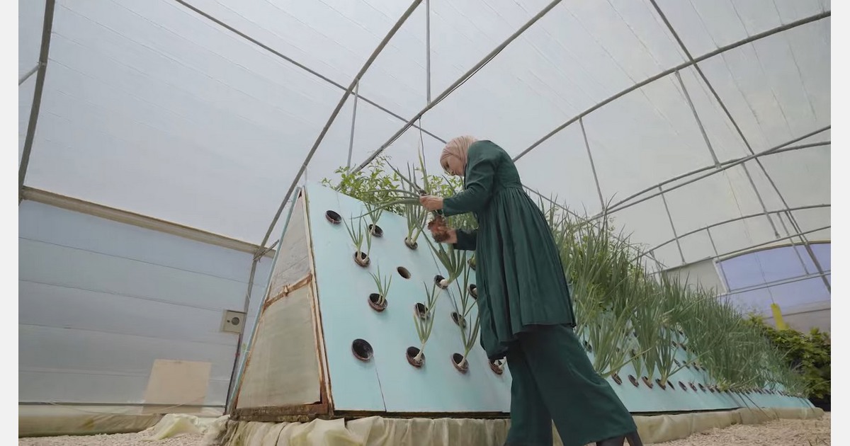 Food system resilience in the Middle East and North Africa