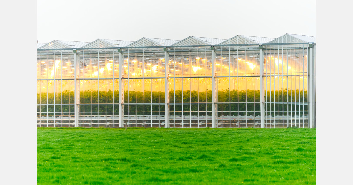 Danforth Center and Ethiopia’s Ag Research giant receive $4.9M grand