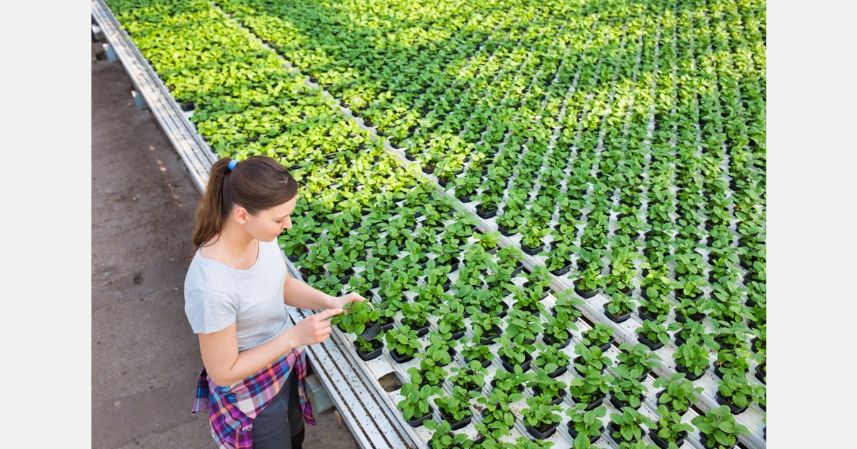 Philippines: Greenhouse project launched in Eastern Samar town