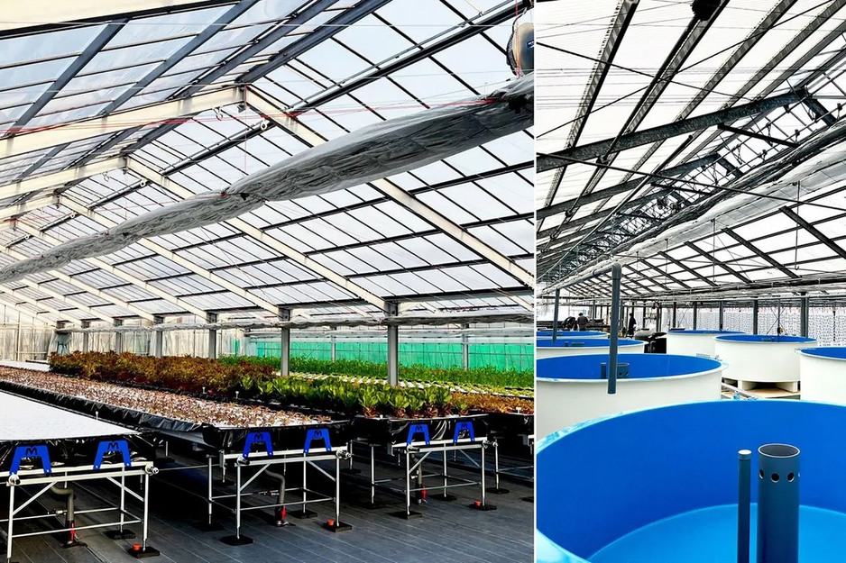 Aquaponic kits to make growing more accessible to Japanese growers