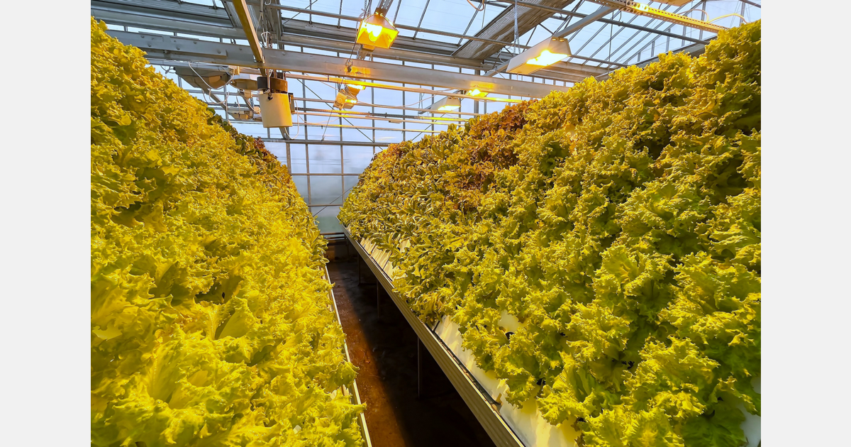 „Čia neišradinėjame dviračio iš naujo, padvigubiname derlių iš m2“