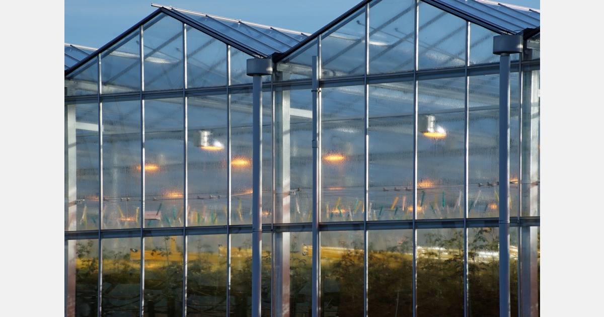 "Greenhouse agriculture, a way forward for Sri Lanka"