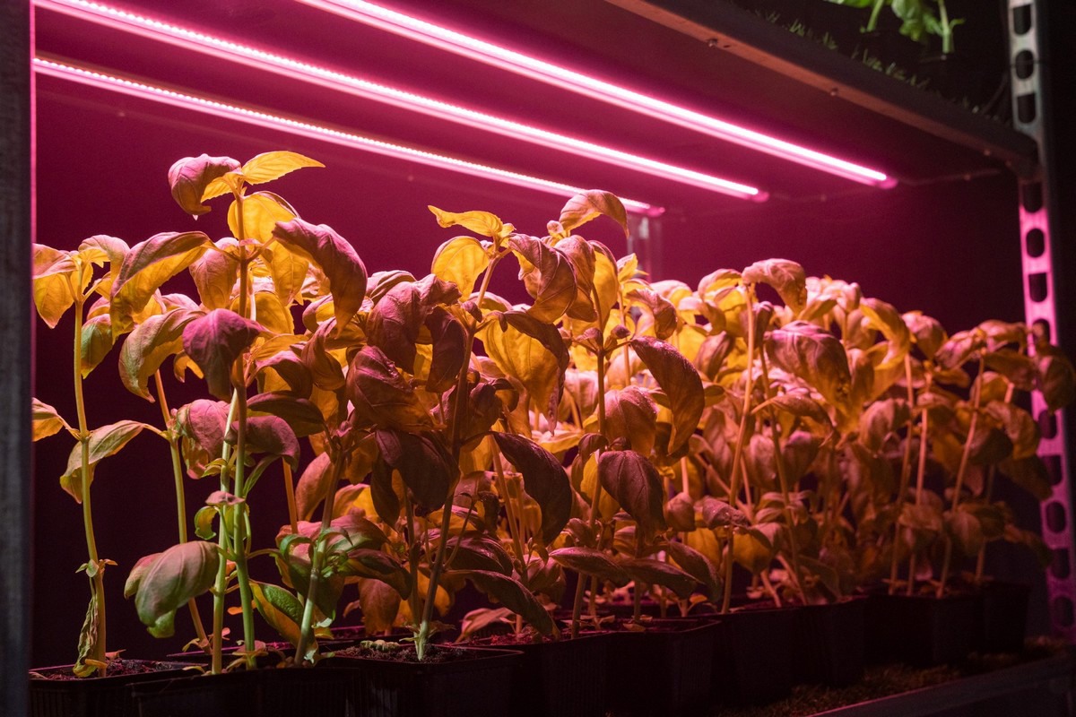 Introducing the New LED Series for Vertical Farming and Crop Science Applications