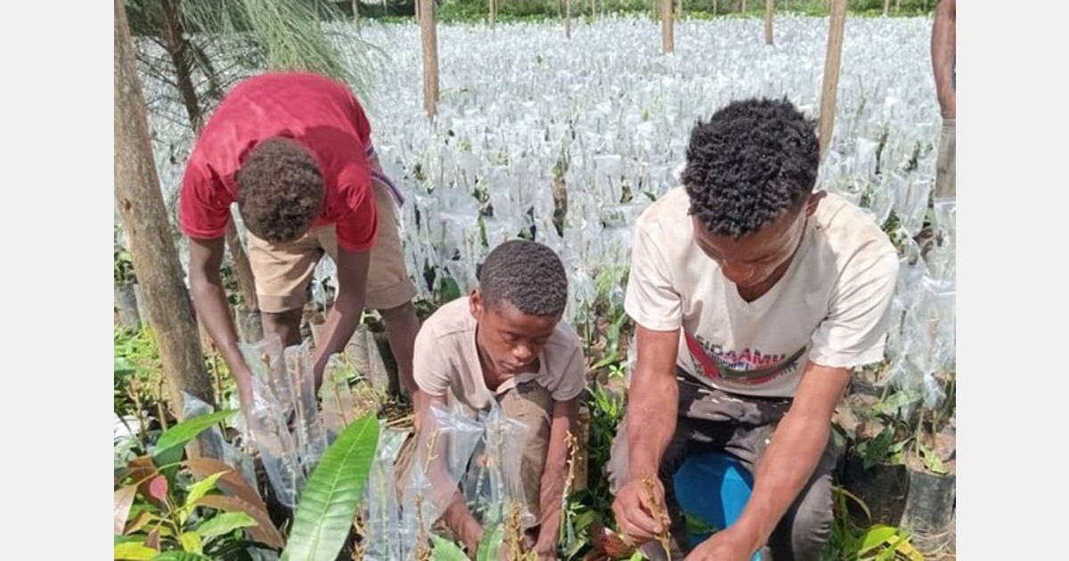 Ethiopia’s transformation into a market-oriented seed sector