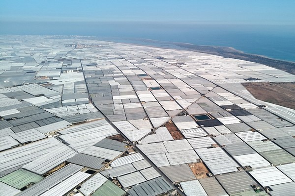 Greenhouses cover more and more of Earth’s surface