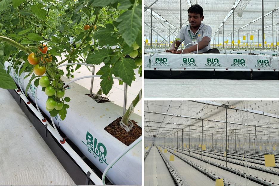 Substrates And Starting Materials