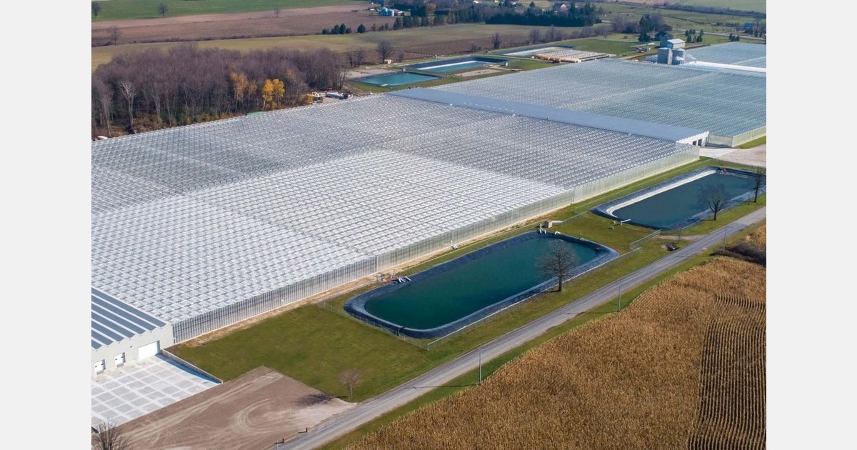 Ontario Plants Propagation opens new facility