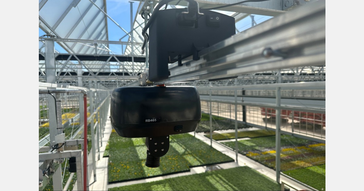 Will AI give me a competitive advantage or am I buying sand in the desert?