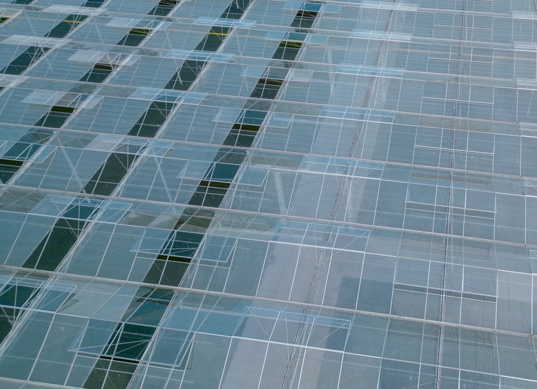 First ever customer of a Ridder climate screen switches after ten years ...