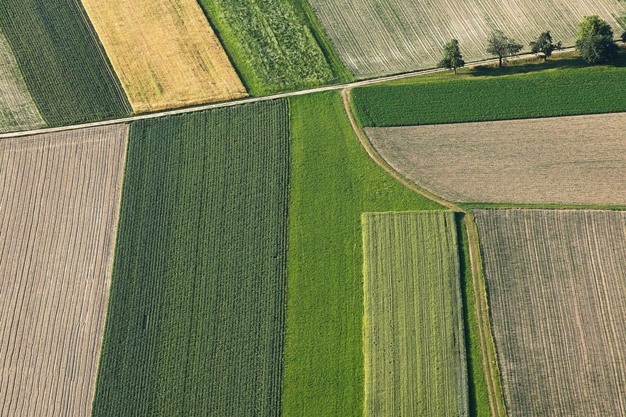 No easy fix for environmental and socio-economic aspects of agriculture – Hortidaily