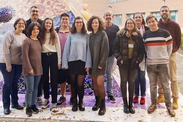 Exploring how how multiple combinations of abiotic stress affect tomato plants – Hortidaily