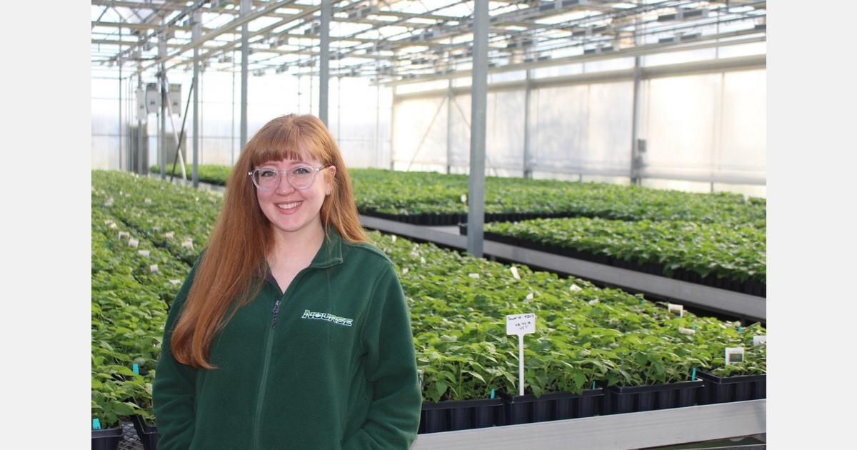 Ошибки посадки ягод: как избежать потерь и «провалов» саженцев