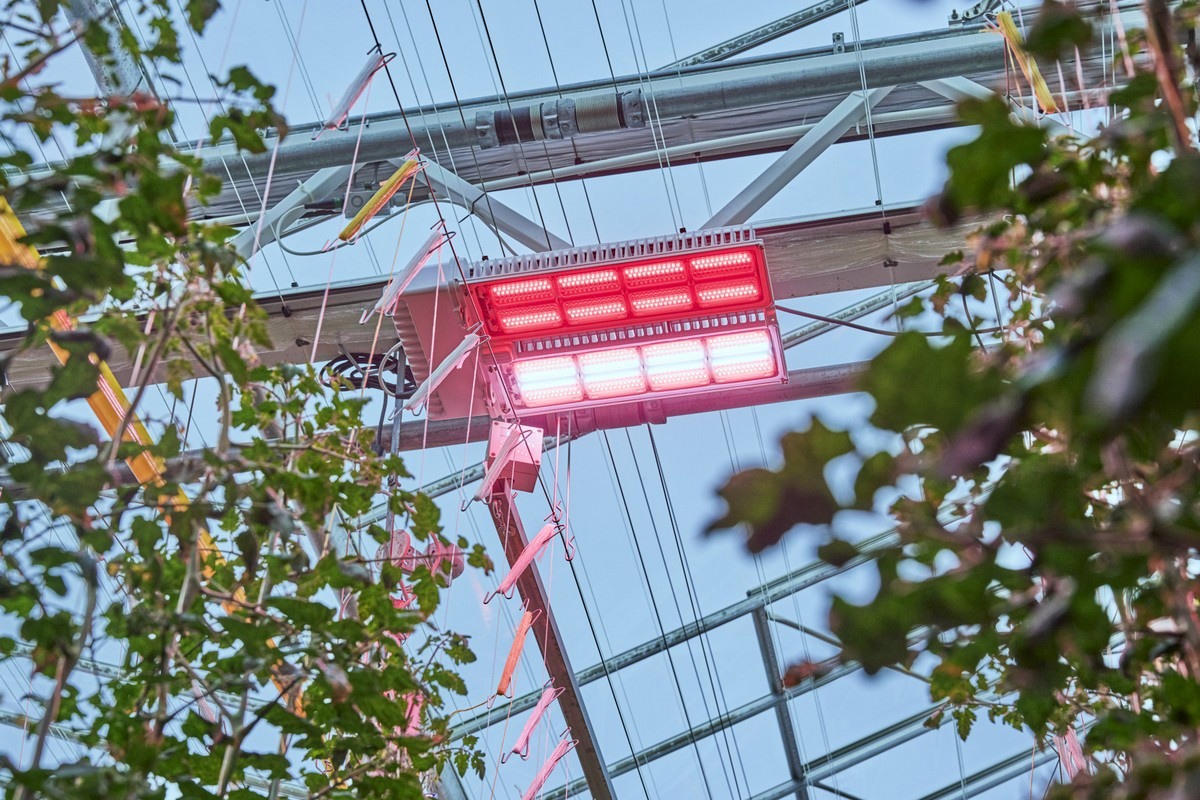 Signify joins Plant Empowerment network