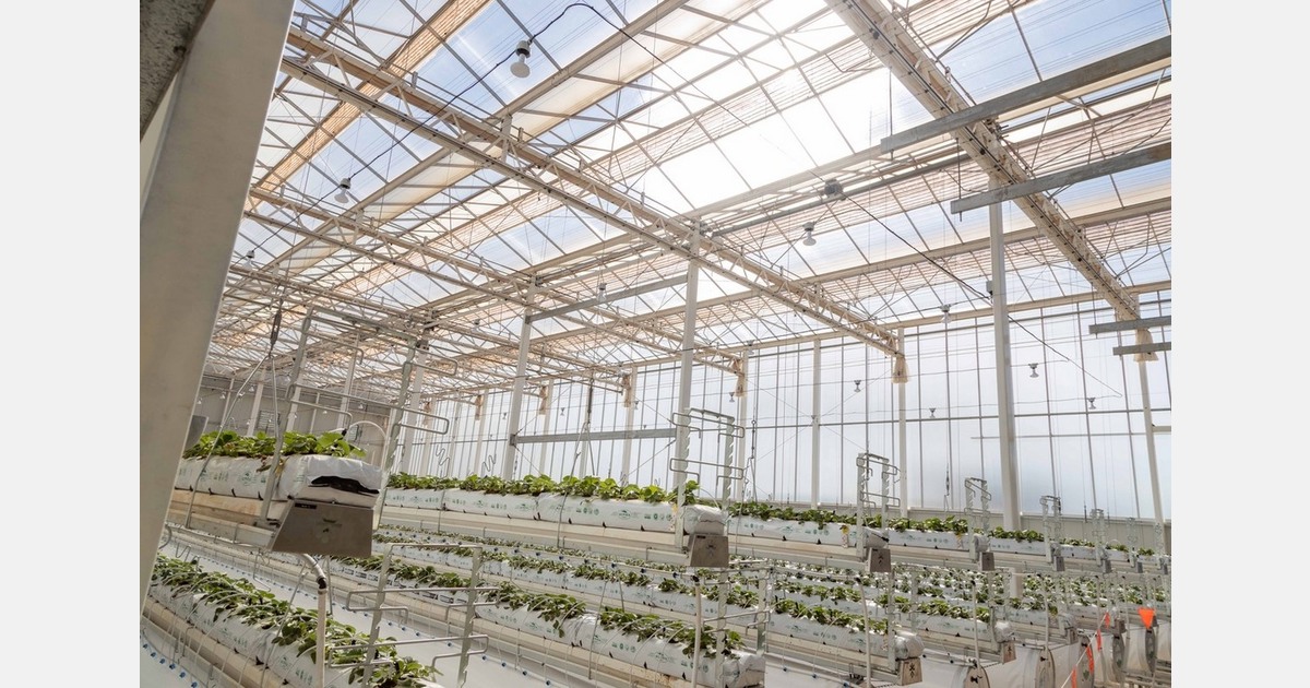 Protected cropping training in Australia targets climate and irrigation control literacy