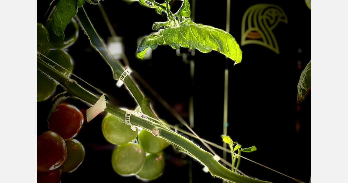 New lineup allows growers to collect plant data manually, semi-autonomously, or with fully autonomous robots