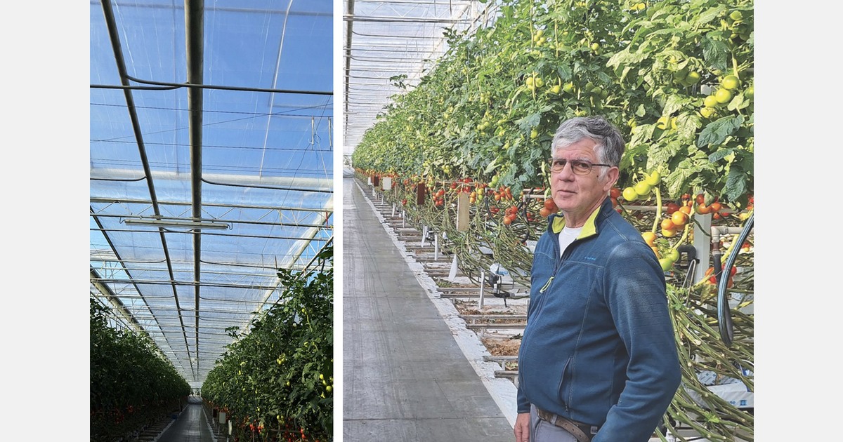 Synergies between dehumidification and hermetic screens