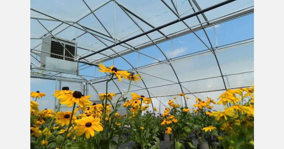 Calculating ROI as a greenhouse grower