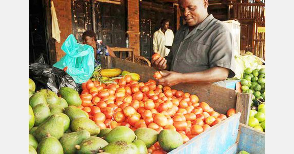 Zimbabwe Young tomato farmers reach new markets