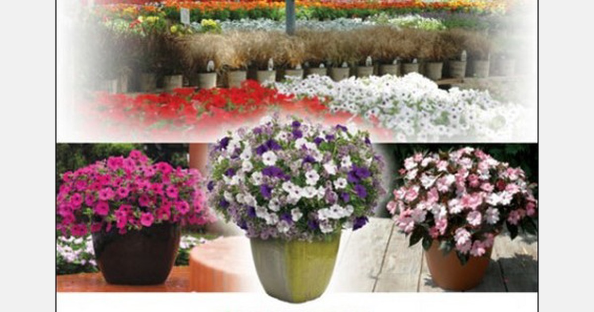 US Harris Seeds publishes 20142015 catalog