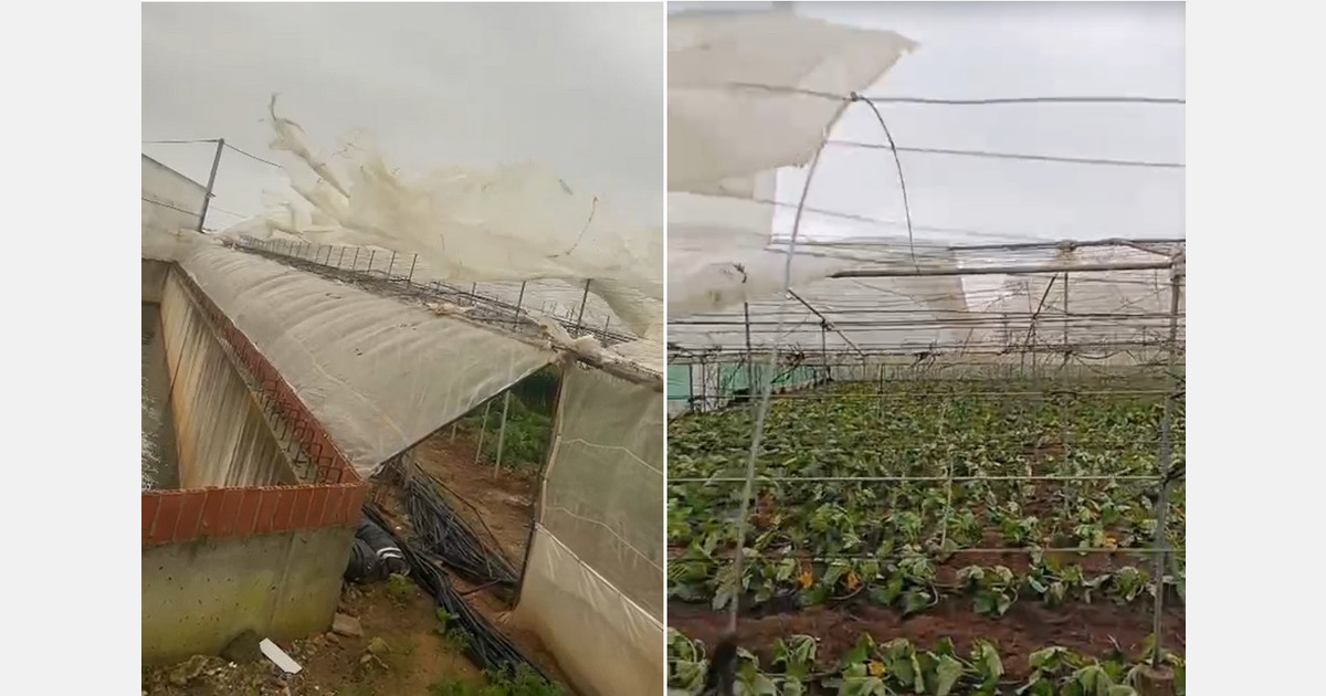 Spain: Andalusia on high alert as flooding risk escalates across agricultural areas