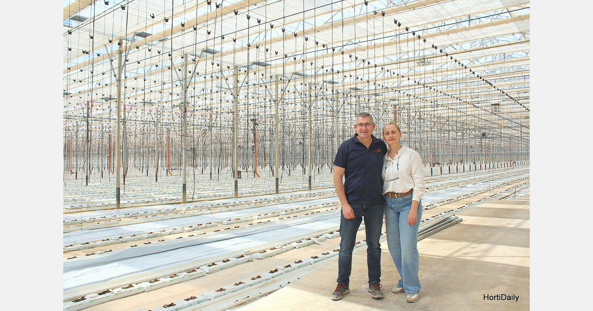 Higher tech greenhouse for cucumber production in El Ejido